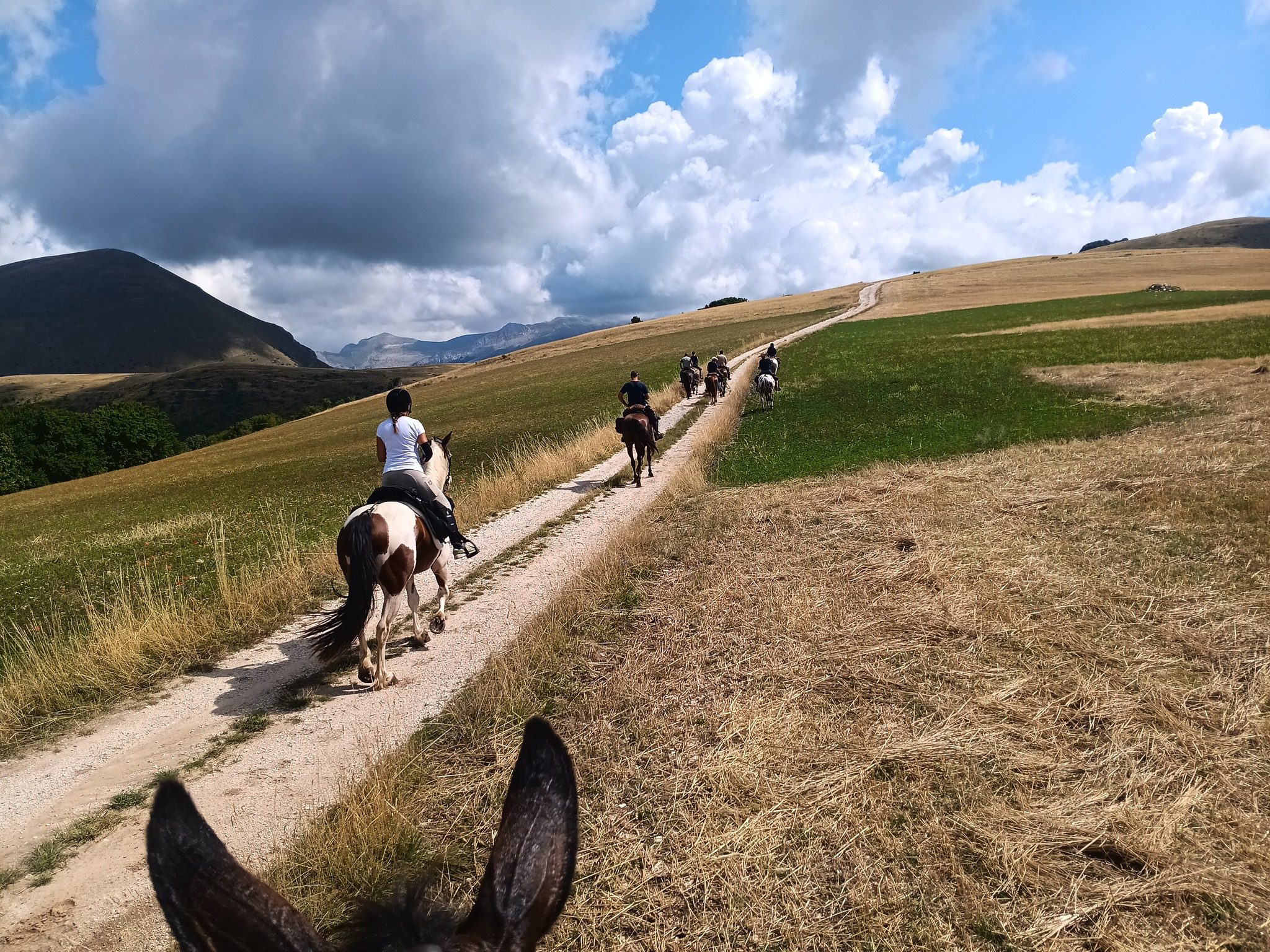 Sabato 13 Settembre, vieni a cavallo con noi !