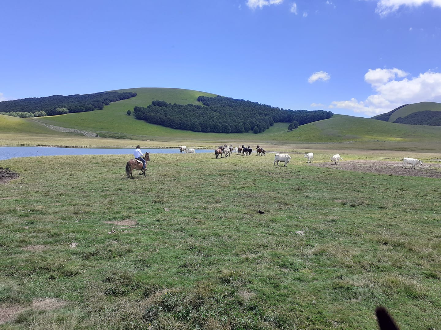 Che meraviglia!  Un’avventura di due giorni a dorso di mulo nel Parco Nazionale dei Monti Sibillini con data da programmare ,