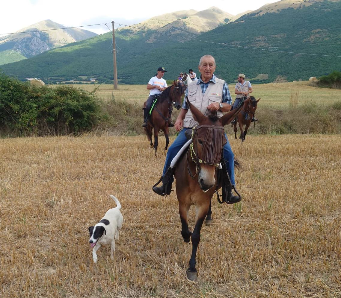 Trekking a cavallo con muli nei boschi di Norcia