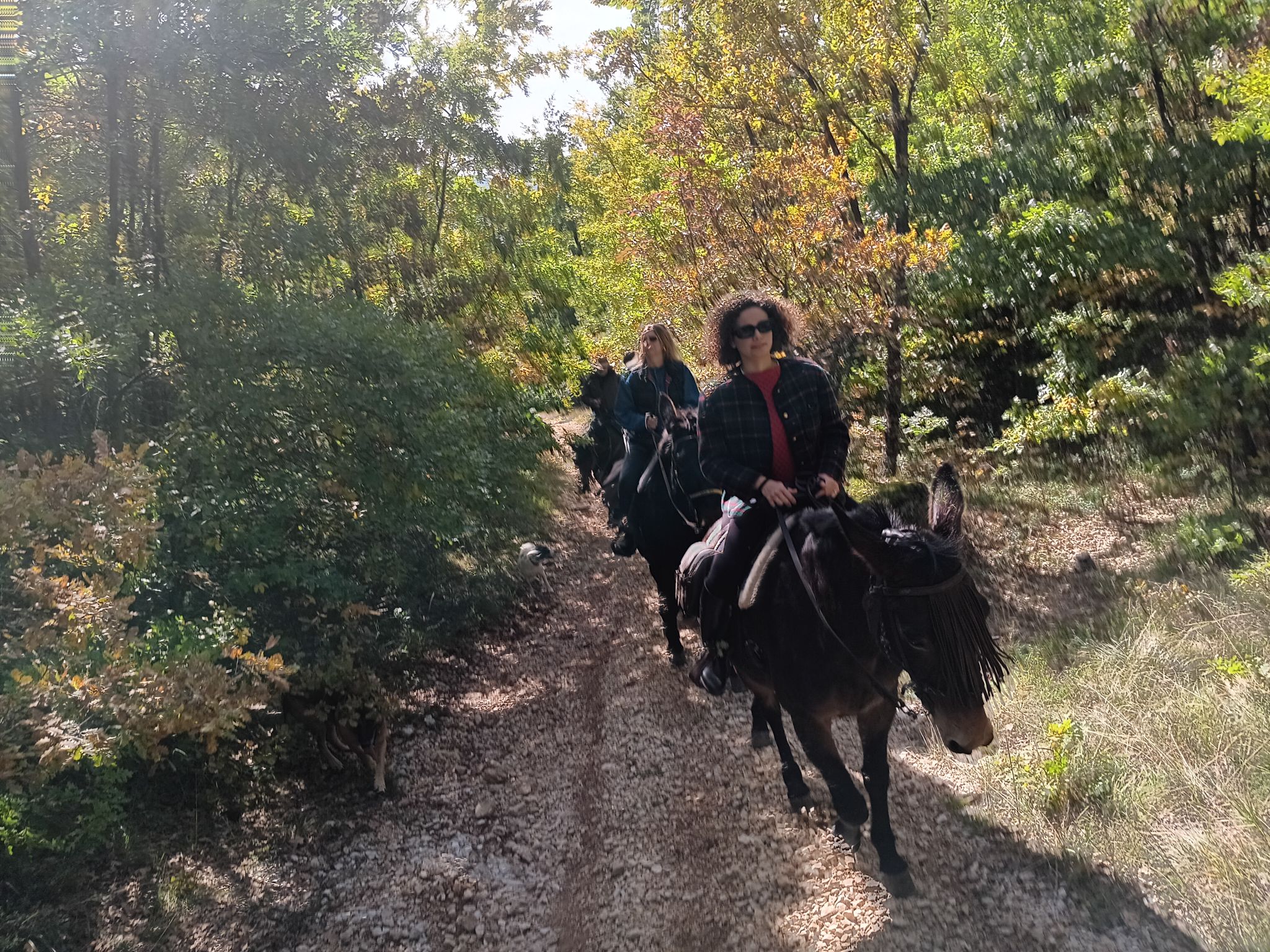 Escursioni a cavallo a Castelluccio di Norcia