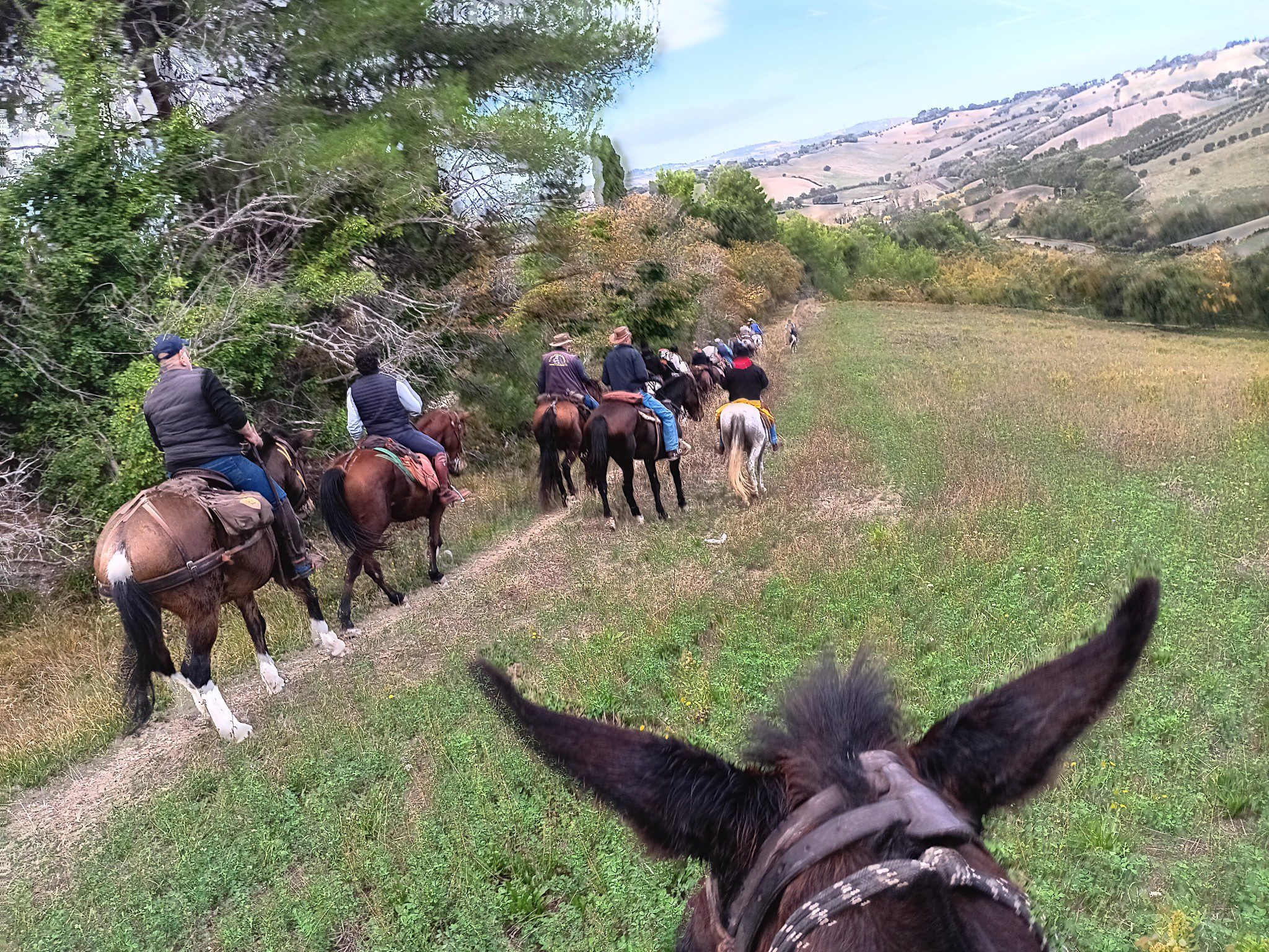 Che bella proposta! 🎁 Se stai cercando un regalo originale per le feste, questo trekking a cavallo tra Umbria e Lazio è un’esperienza davvero unica.