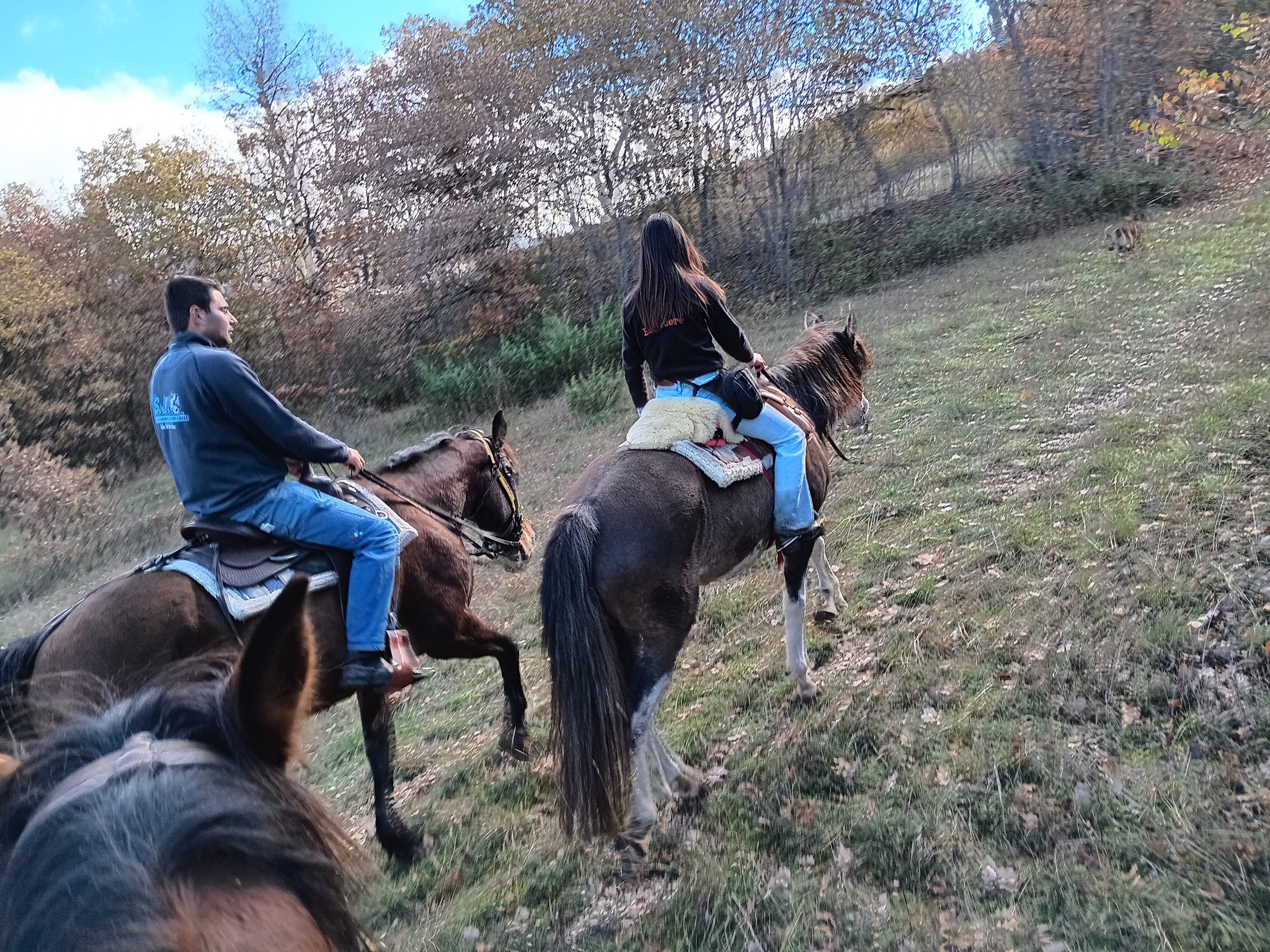 Sorprendi chi ami con un regalo fuori dal comune: la libertà, il silenzio e la bellezza della natura a cavallo. Un’avventura che resta nel cuore.Regala un’avventura indimenticabile: trekking a cavallo tra Umbria e Lazio!