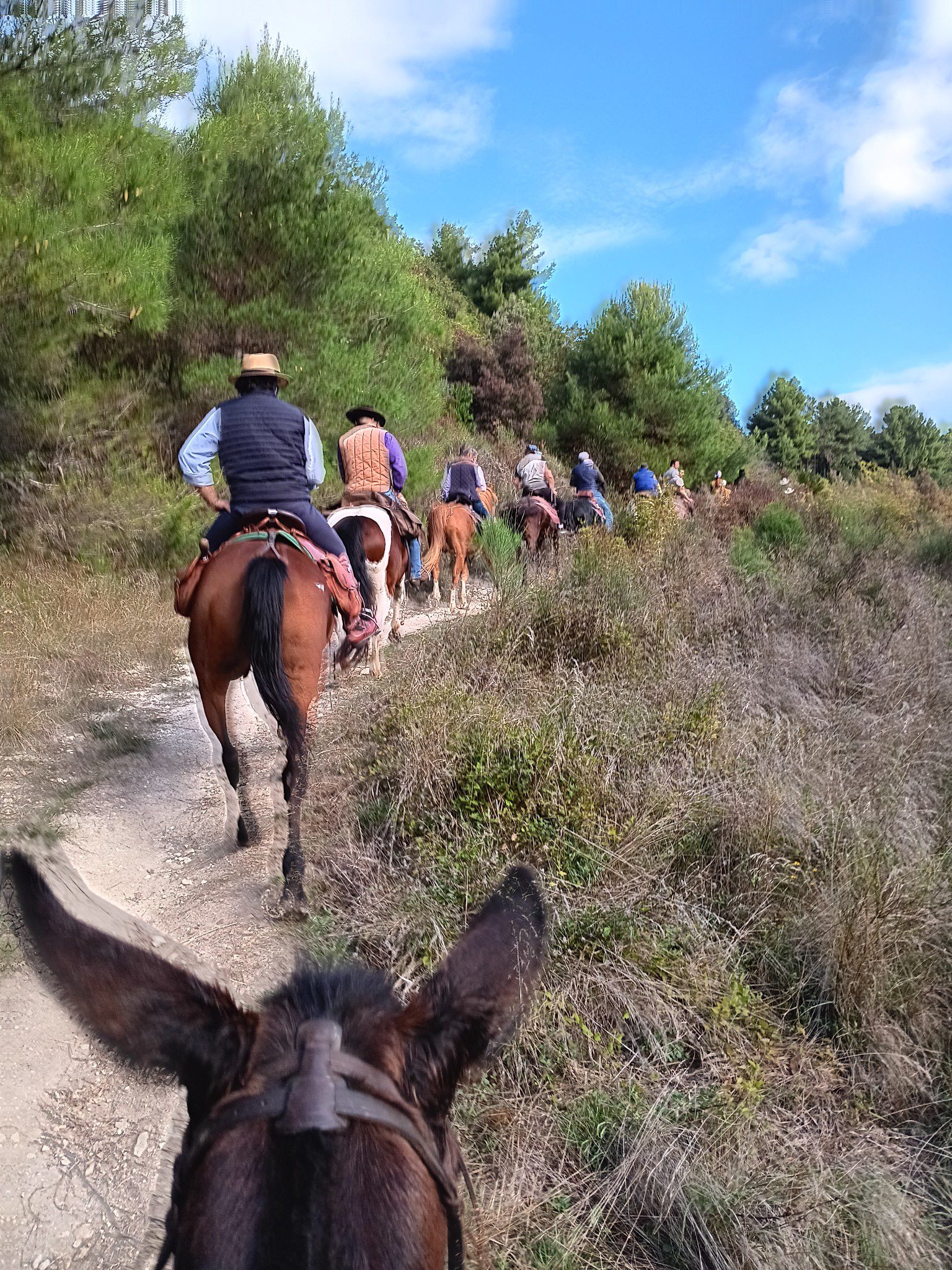 🌄 Prenota la tua giornata a cavallo nei dintorni di Norcia