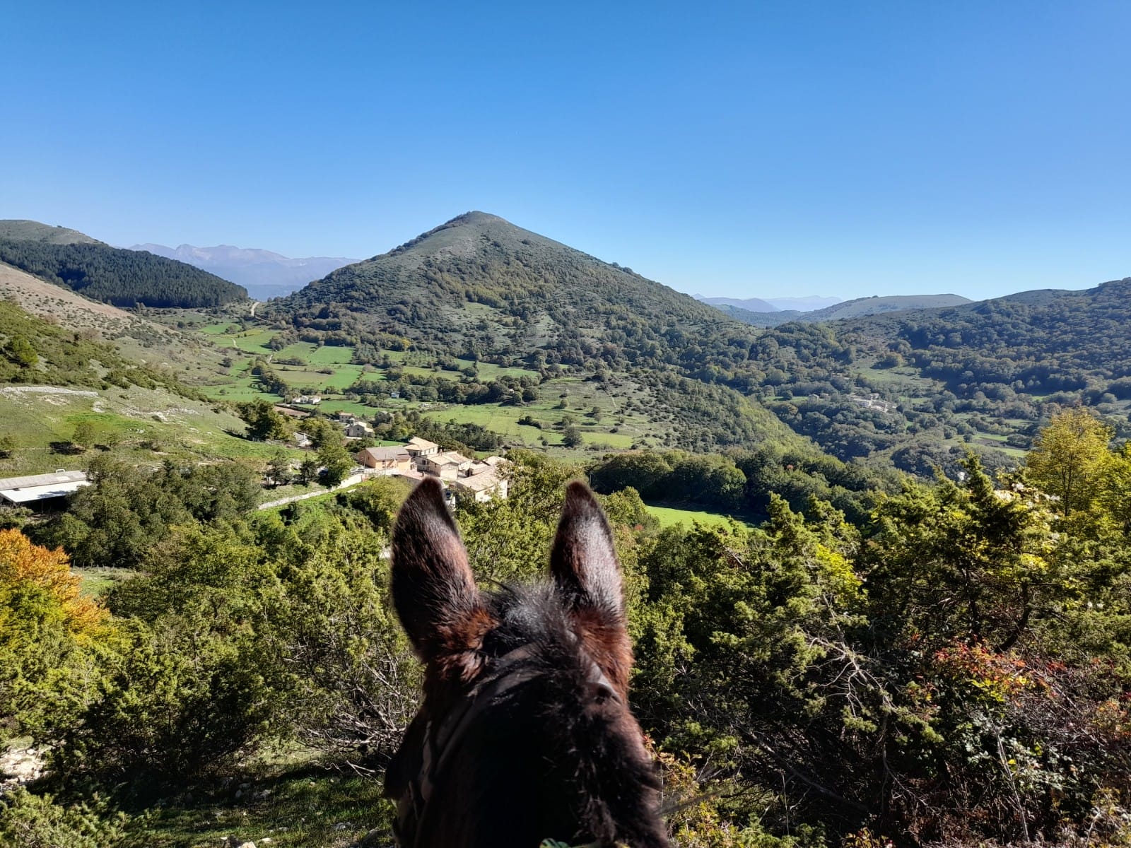 Che meraviglia! Un’avventura di due giorni a dorso di mulo nel Parco Nazionale dei Monti Sibillini con pernotto in tenda e data da programmare ,