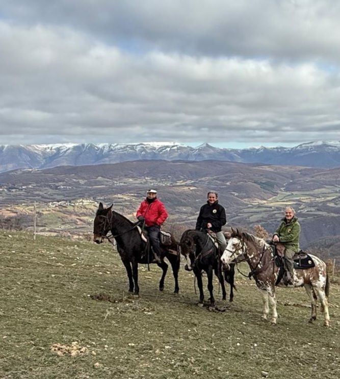 Un’esperienza indimenticabile: trekking a cavallo di un mulo nel Parco Nazionale dei Monti Sibillini e Pantani di Accumoli!**