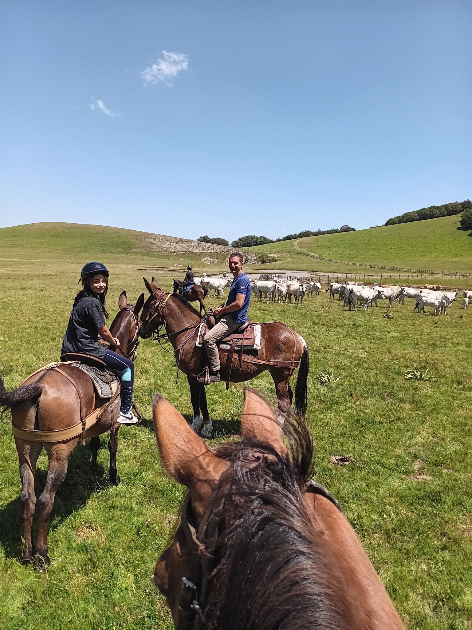 Vivi una giornata all’aria aperta nello splendido scenario del Parco Nazionale dei Monti Sibillini e dei Pantani di Accumoli.