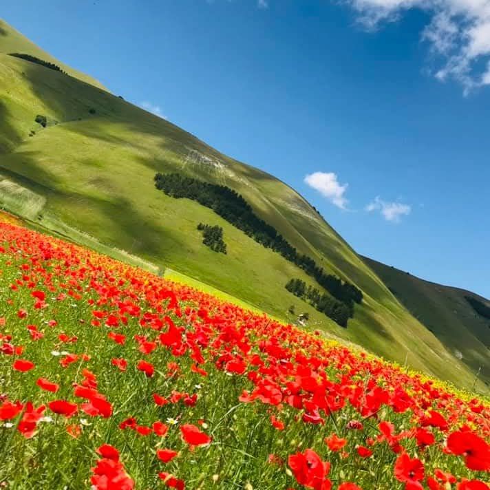 Su prenotazione trekking a Cavallo di 3 Giorni nei Monti Sibillini