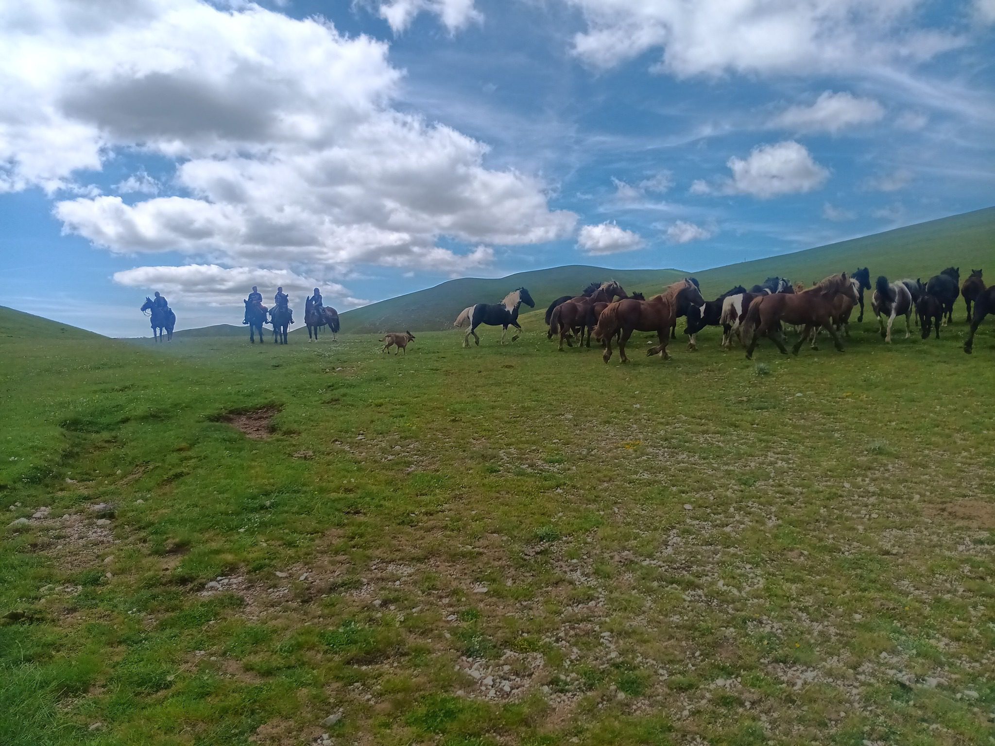 20 e 21 Giugno – Due Giorni a Cavallo nella Fioritura di Castelluccio